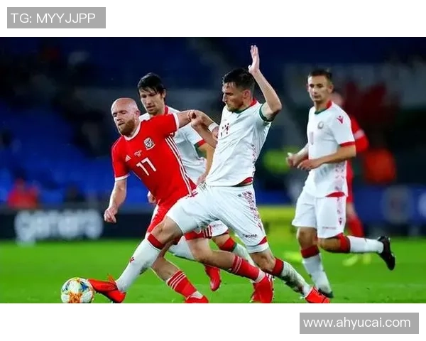 法国与威尔士精彩对决录像回放分析与精彩瞬间集锦